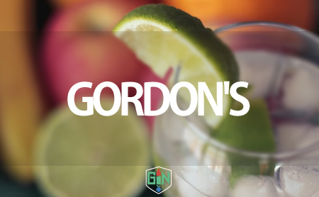ゴードン（GORDON'S）のジン