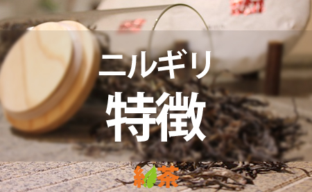 紅茶の人気茶葉【ニルギリ】の魅力と特徴