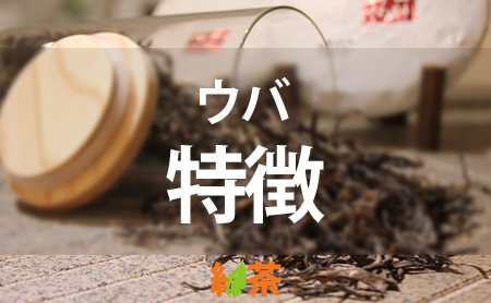 紅茶の人気茶葉【ウバ】の魅力と特徴
