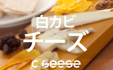 白カビチーズ(ホワイトチーズ)の種類と美味しい食べ方