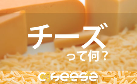 チーズって何？