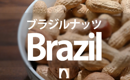 ブラジルナッツの栄養価や効果効能と上手な食べ方
