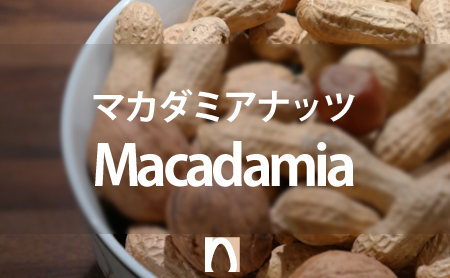 マカダミアナッツの栄養価や効果効能と上手な食べ方