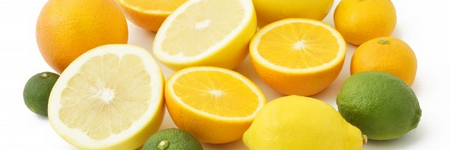 ゆず以外の柑橘類や食材中心のポン酢の特徴 