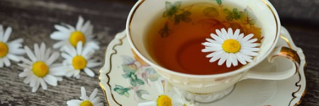 美味しい紅茶【ダージリン】の魅力