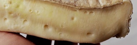 白カビチーズ(ホワイトチーズ)の種類