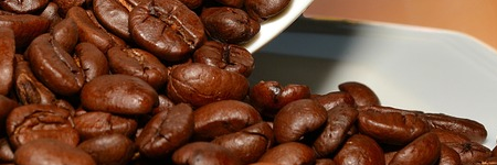 コーヒー豆の銘柄の種類