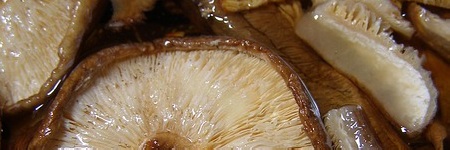 椎茸だしに含まれる栄養素とその効果