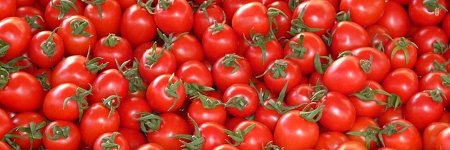 tomato-recipe